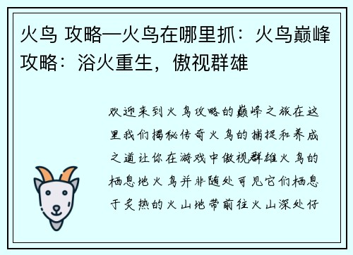 火鸟 攻略—火鸟在哪里抓：火鸟巅峰攻略：浴火重生，傲视群雄